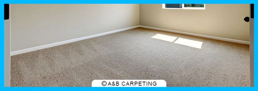 Professional Carpet Cleaning Process